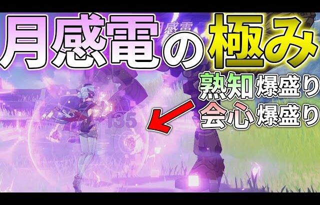 【原神】イネファにより実装された月感電の極致を見たい