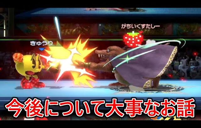 皆さん今後について大事なお話があります。これは見てください【スマブラSP】