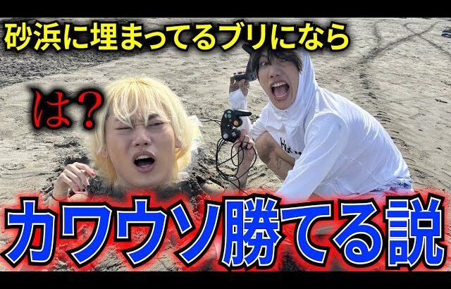 【スマブラSP】砂に埋まったブリにならカワウソ勝てる説