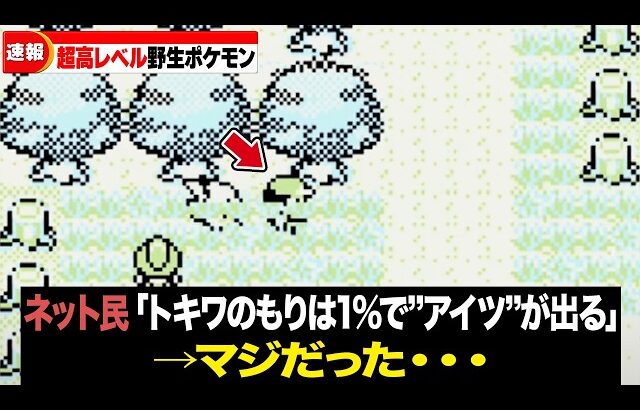 【初代金銀ルビサファ】初見時はビビる高レベル野生ポケモン18選