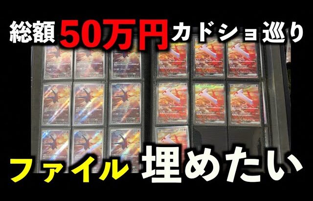 【開封動画】カドショを巡って総額50万円分のポケカ(オリパ)を買い、ファイルを埋め尽くしました【vlog】