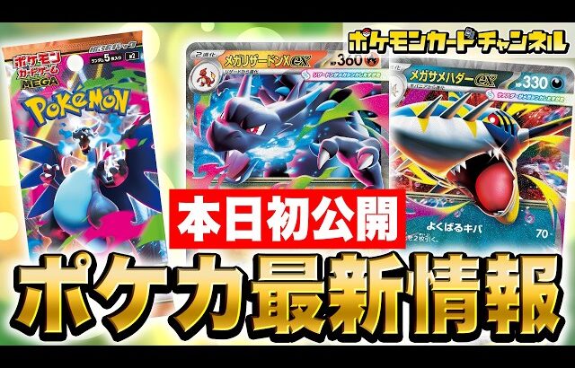 【本日初公開】炎・悪が超強化！？メガリザードンXexやメガサメハダーex、新サポートのひふきやろうやギーマの一手などを解説！【インフェルノX/ポケカ/ポケモンカード】