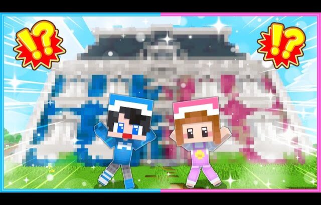 【 マイクラ 】立派な超大豪邸に住む！？✨