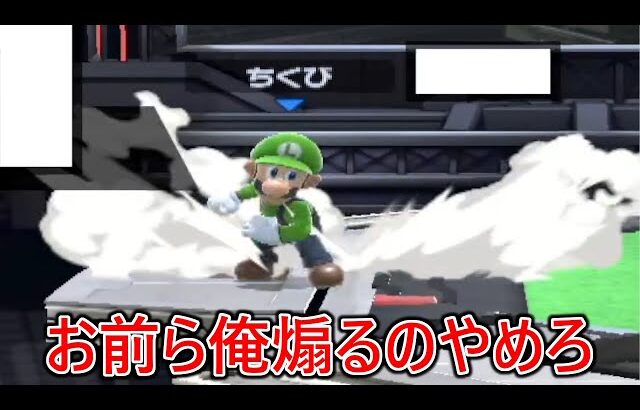 全視聴者に告ぐ。俺を煽るとこうなるからやめとけ。【スマブラSＰ】