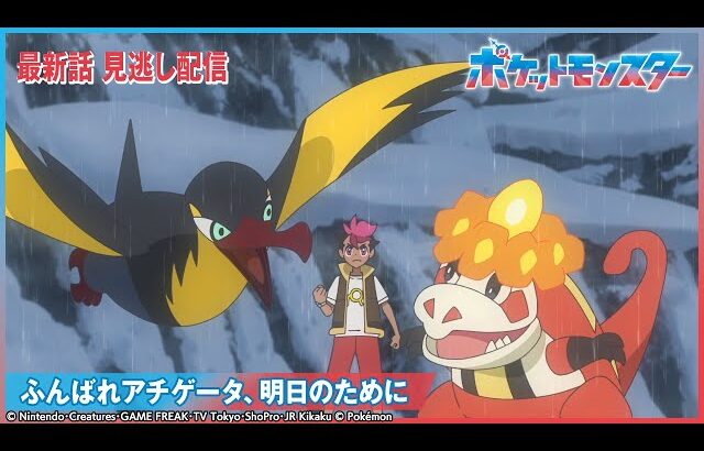 【公式】アニメ「ポケットモンスター」第119話 「ふんばれアチゲータ、明日のために」-期間限定配信-