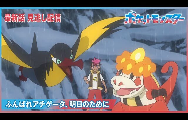 【公式】アニメ「ポケットモンスター」第119話「ふんばれアチゲータ、明日のために」（見逃し配信）
