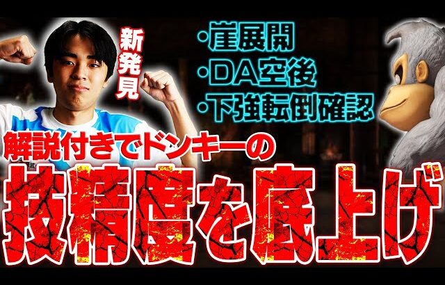 【有益情報】ドンキーでさらに高みを目指すために技精度をトレモで底上げしながら解説するマイルドなH.O【スマブラSP】