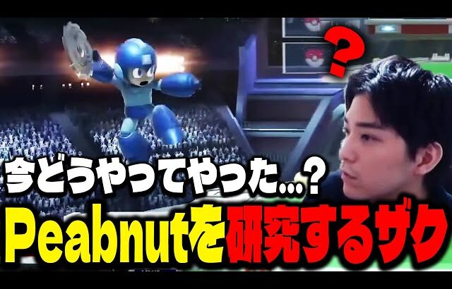 Peabnut対Sparg0からロックマンの技術を研究するザクレイ【スマブラSP】