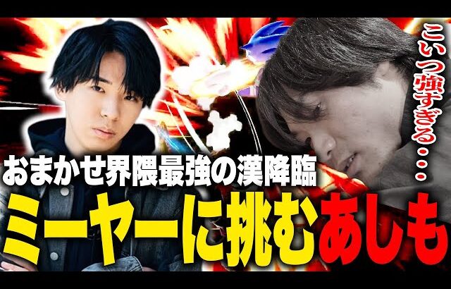 おまかせ大会３回戦でラスボス「ミーヤー」とマッチし絶望するあしも【スマブラSP】