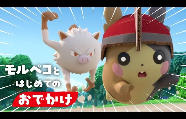 【公式】ポケモンアニメ「モルペコとはじめてのおでかけ」