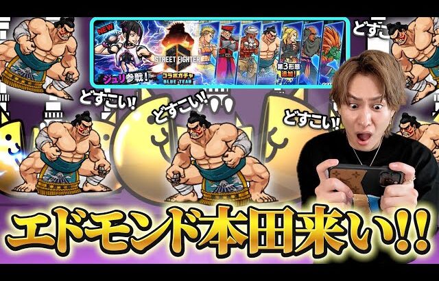 新キャラ出るまでガチャをぶん回したら地獄を見たダイキ様【にゃんこ大戦争】