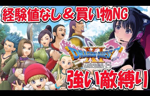 #2【ドラクエ11S】楽な戦いは経験値なし＆買い物NG＆敵が強い縛り【ドラゴンクエストXI 過ぎ去りし時を求めて】