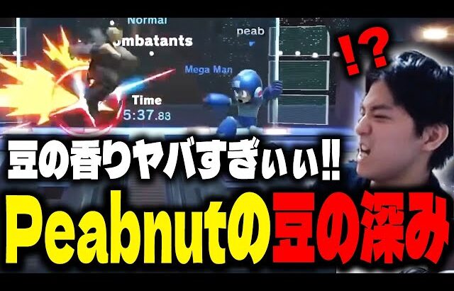歴戦のロックマンPeabnutからとんでもない豆の香りを感じるザクレイ【スマブラSP】