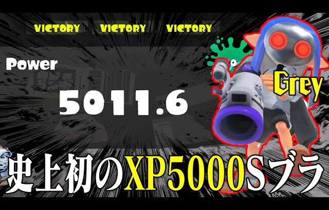 史上初！新たなXP5000の最強ブラスター使い「Grey」の視点を見たら異次元すぎた・・・【スプラトゥーン3】