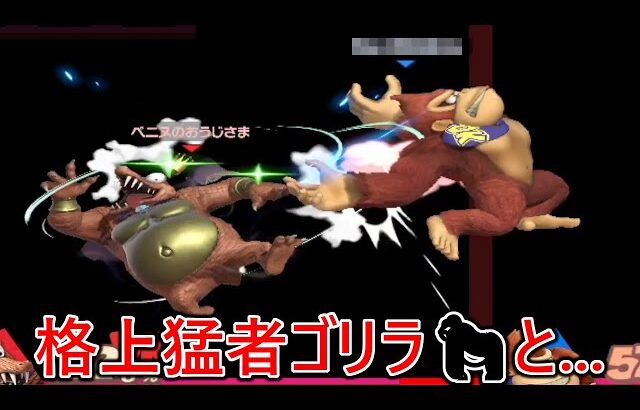 俺より戦闘力の高い猛者ゴリラと連戦の末まさかの結末を迎えました…