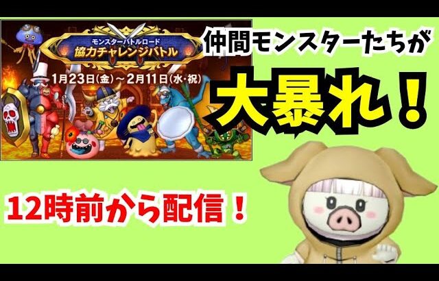 【ドラクエ10】＃927　＃モンスターバトルロード協力チャレンジバトル！1戦、2戦をやってみるブヒ！初見さん歓迎！