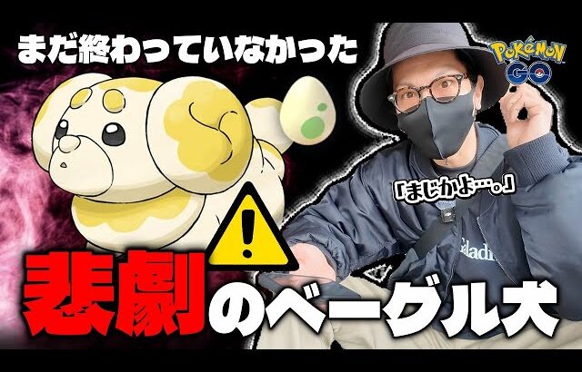 【ポケモンGO】危険な香りがプンプン！？あまりにも罠だらけ…！？色違いパピモッチの狙い方＆期間限定チャンスを見逃すな！！【大切な相棒：前日確認】