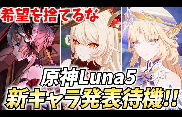 原神新キャラ発表待機！ファルカが来るかニコが来るか！アリスとサンドローネも諦めてない【原神Live】