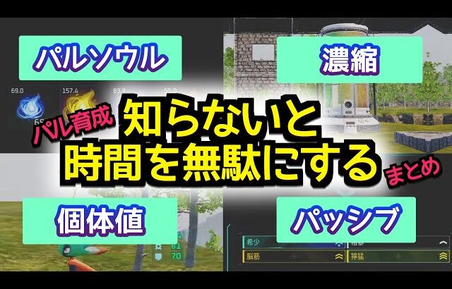 【パルワールド】初心者向け パルの育て方 知らないと時間を無駄にする！パルソウル 濃縮 個体値 パッシブ 攻略 【Palworld】　PS5  PC steam　パル育成 パルの育て方 強いパル