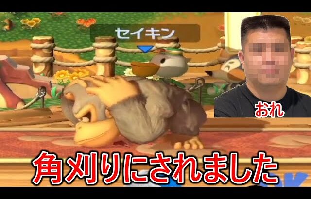 視聴者の猛者達に敗北し角刈りにされました【スマブラSP】
