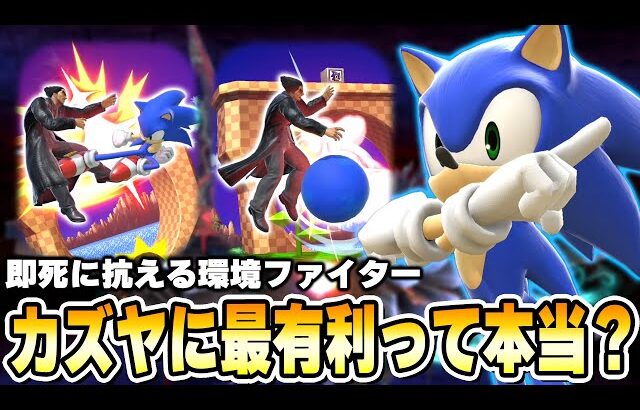 即死キャラに明確な有利を取れるソニック。カズヤを駆逐できるのか実際に使って確めるまさし【スマブラSP】