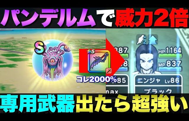 【ドラクエウォーク】パンデルムどうやって使ってる？