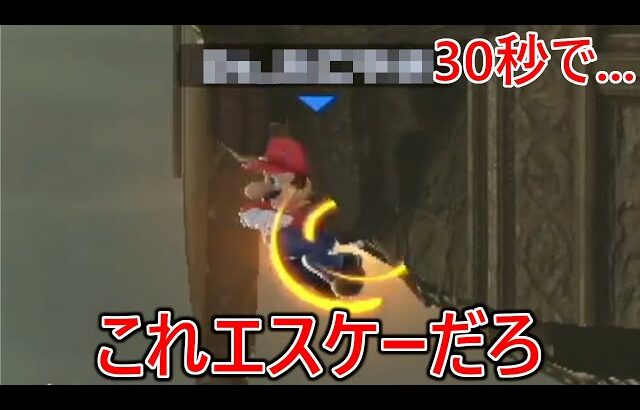 立ち回り、カシオレ度、プレー全てにおいてエスケーとしか思えないマリオに瞬殺され、怒りがフラッシュバックしましまた。