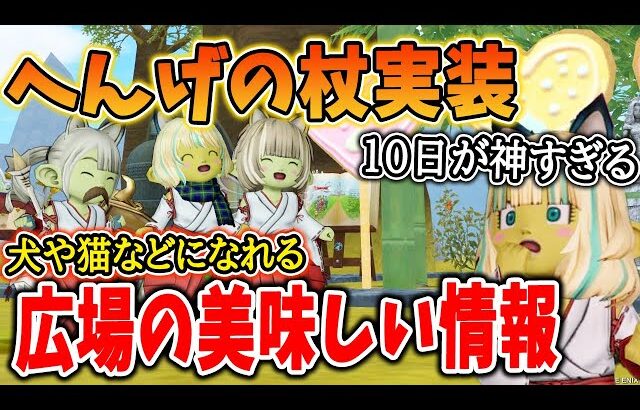 ドラクエ10 今月のテンの日が神すぎるｗｗへんげの杖実装のテスト期間で大盛り上がり間違いなしか！その他広場の情報をまとめてみた