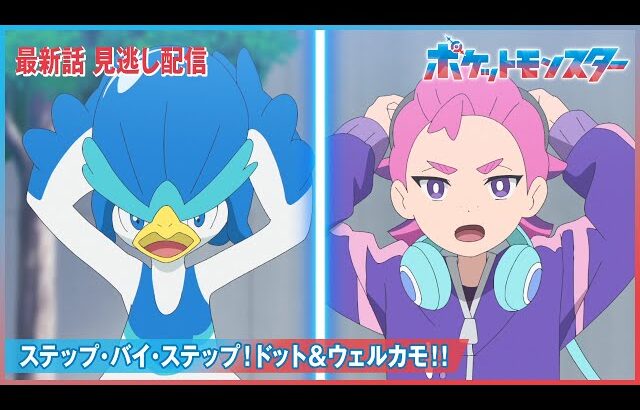 【公式】アニメ「ポケットモンスター」第128話「ステップ・バイ・ステップ！ドット＆ウェルカモ！！」（見逃し配信）