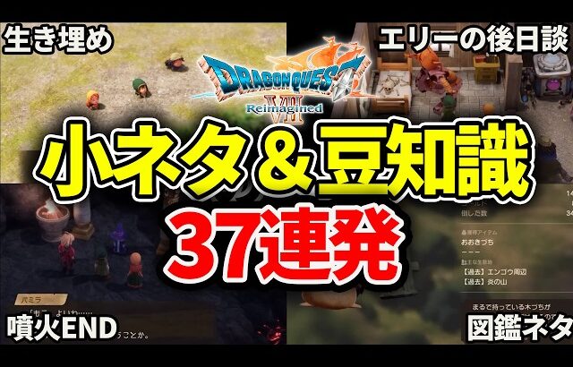 【小ネタ37連発】知らないと損するドラクエ7リイマジンドの隠し要素まとめ【ゆっくり解説】