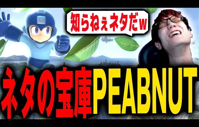 【LMBM2026】未だに新しい動きを魅せまくる世界一ロックマンに驚きまくるにえとの【スマブラSP】