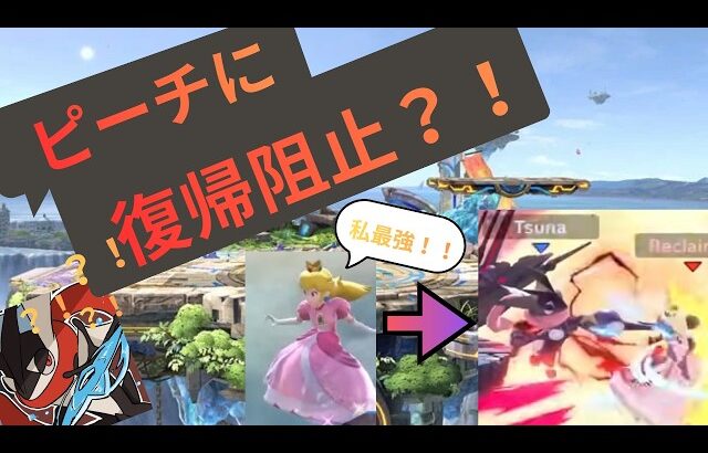 強豪ゲッコウガを見て座学するれあ 後編【スマブラSP】