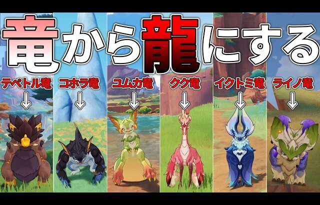 【原神】ナタの乗り物でしかない竜の攻撃を最強にして龍にしたかった