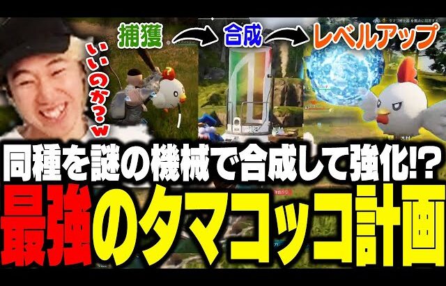 同種類のパルを捕まえ合成！？相棒のタマコッコを最強にする計画を立てるおぼ【パルワールド】