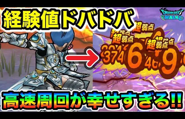 【ドラクエウォーク】経験値ドバドバ高速周回が幸せすぎる！なんでもっと早くやらなかったんだ私は！